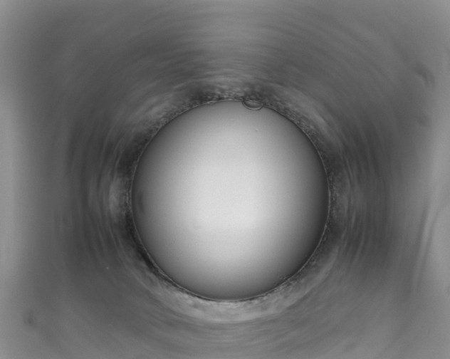 X0000111190034200907081305