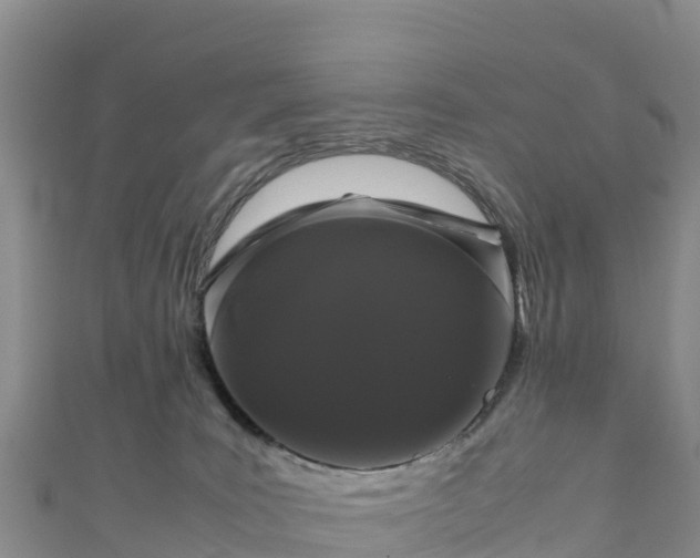 X0000111190035200907081305