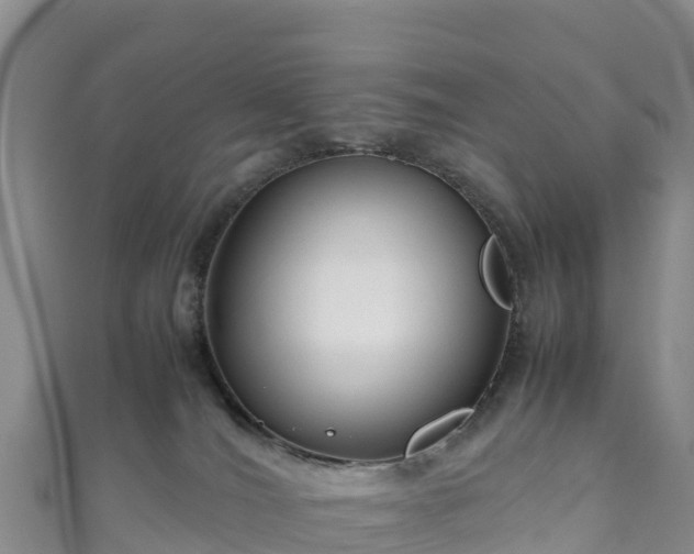 X0000111190036200907081305