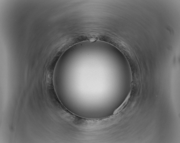 X0000111190037200907081305