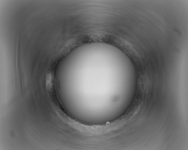 X0000111190038200907081305