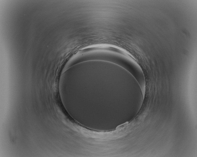 X0000111190039200907081305