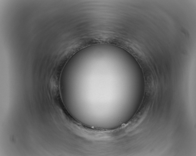 X0000111190040200907081305