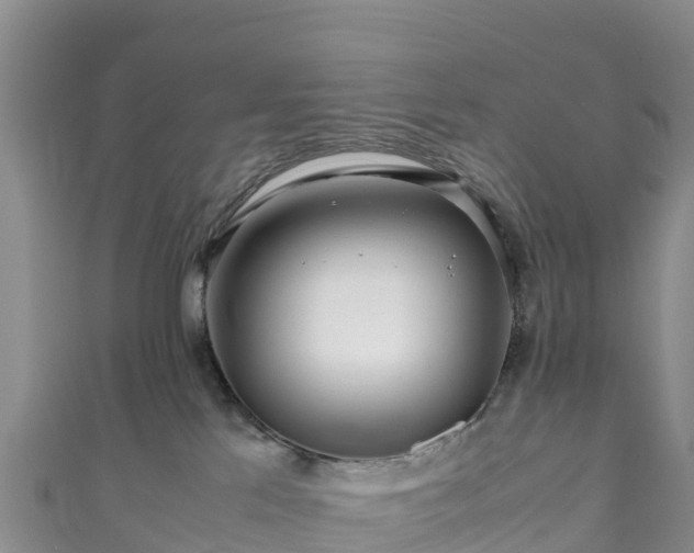 X0000111190041200907081305