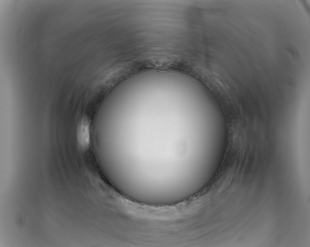 X0000111190042200907081305