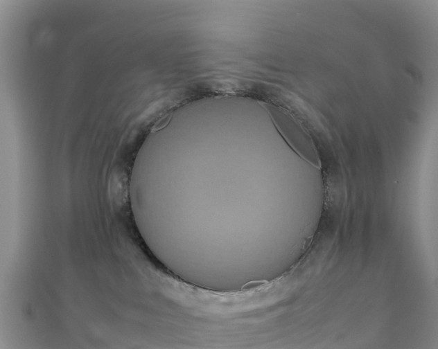 X0000111190043200907081305