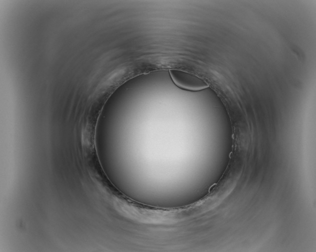 X0000111190044200907081305