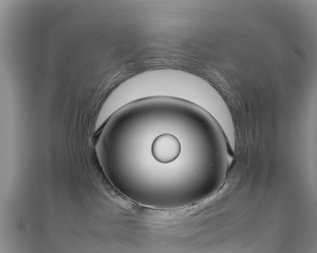 X0000111190045200907081305