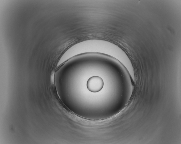 X0000111190047200907081305