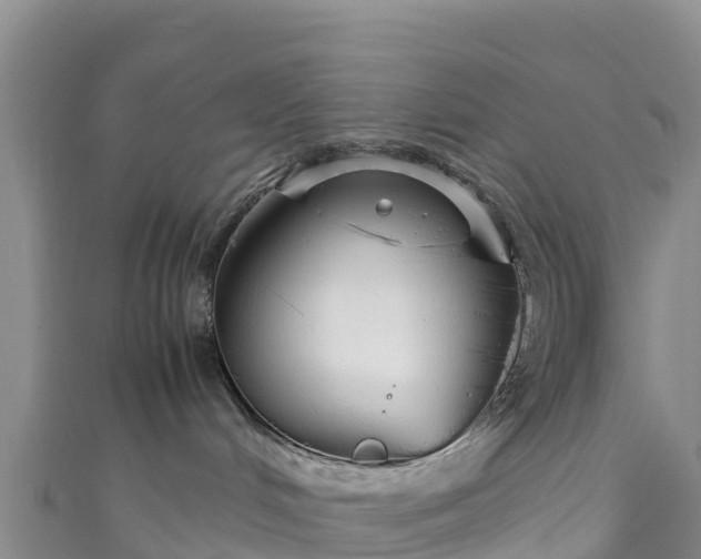 X0000111190048200907081305