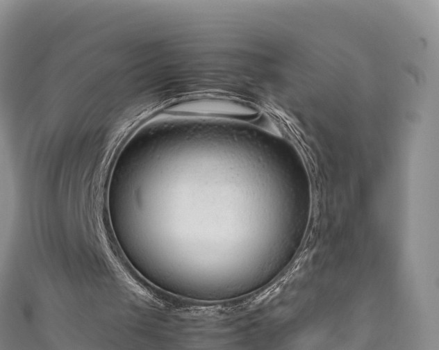 X0000111190049200907081304