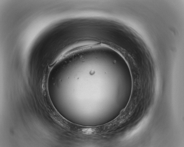 X0000111190050200907081304