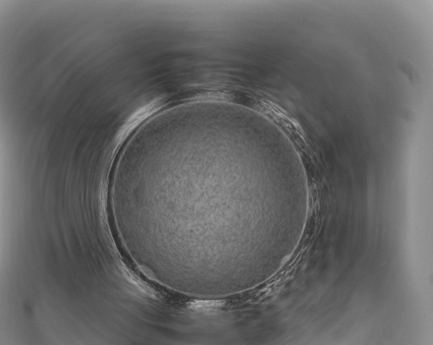 X0000111190051200907081304