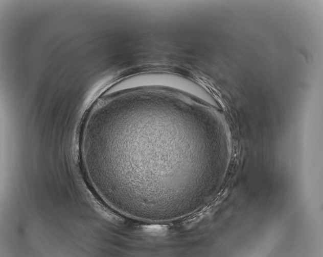 X0000111190053200907081304