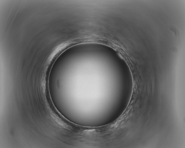 X0000111190054200907081304