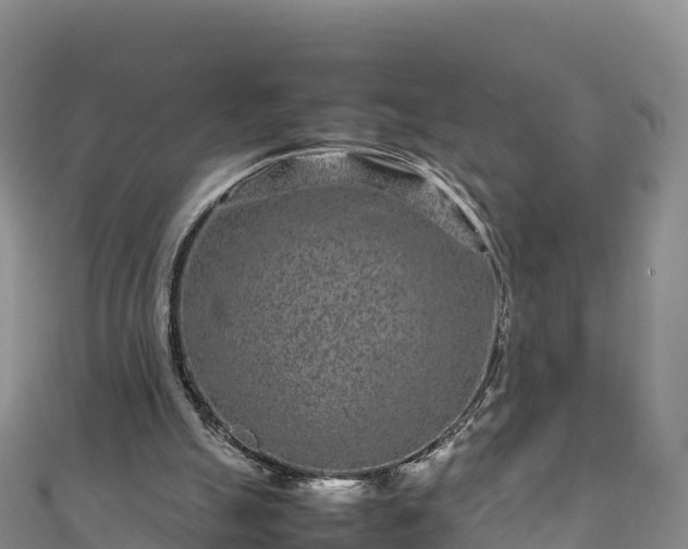 X0000111190055200907081304