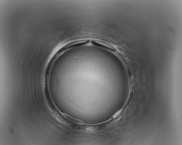 X0000111190056200907081304