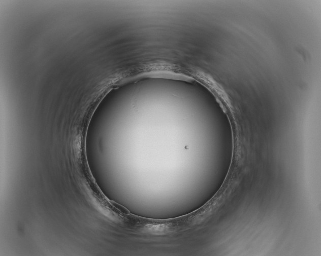 X0000111190057200907081304