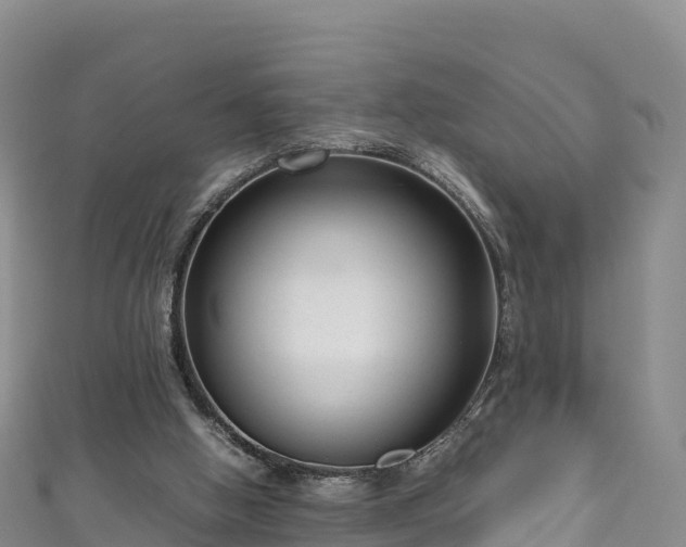 X0000111190058200907081304