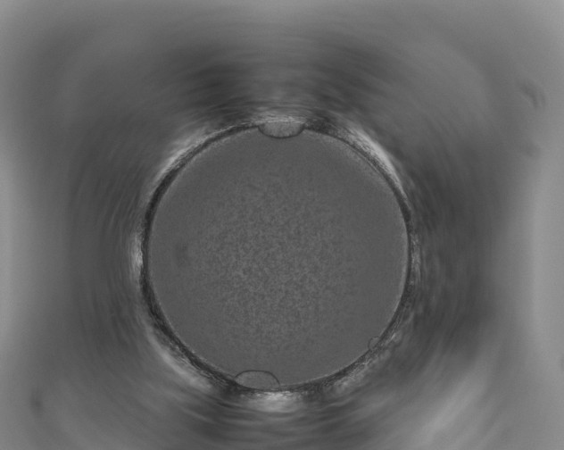 X0000111190059200907081304