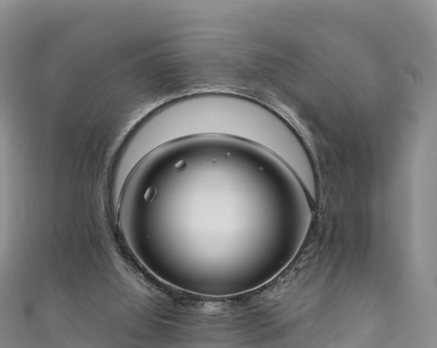 X0000111190060200907081304