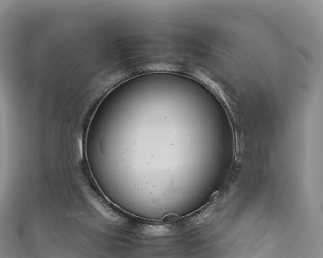 X0000111190061200907081304