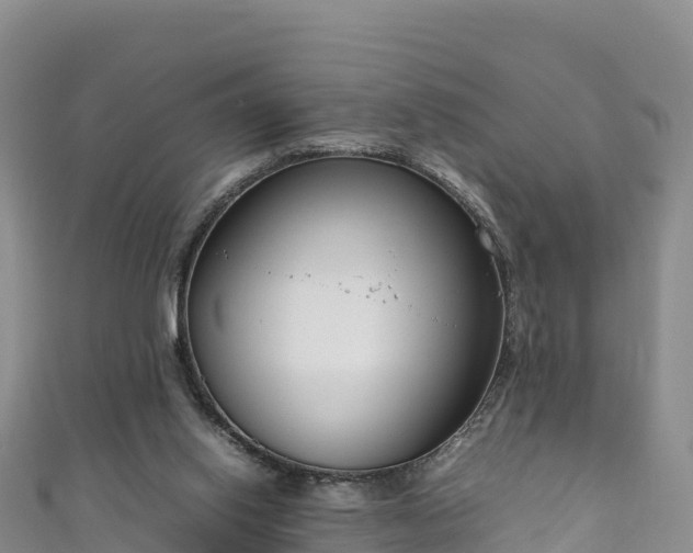 X0000111190062200907081304