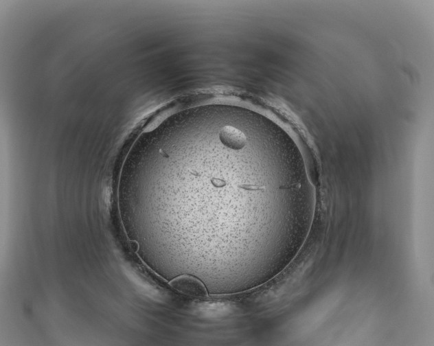 X0000111190063200907081304