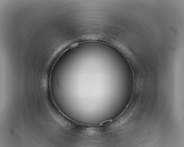 X0000111190064200907081304