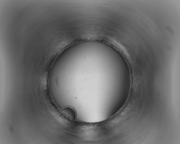 X0000111190065200907081304