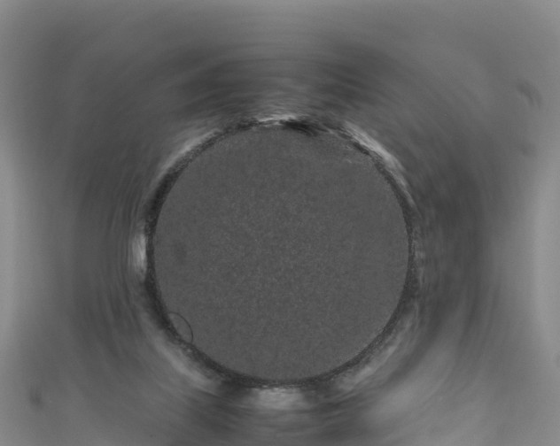 X0000111190067200907081304