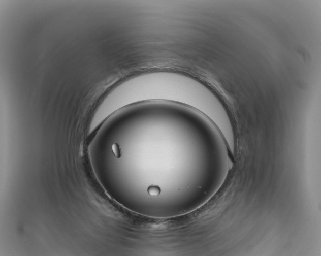 X0000111190068200907081304