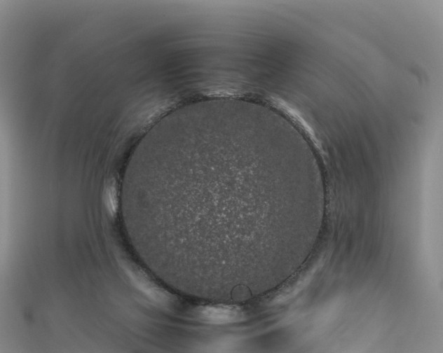 X0000111190069200907081304