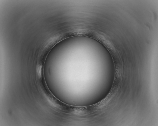 X0000111190070200907081304