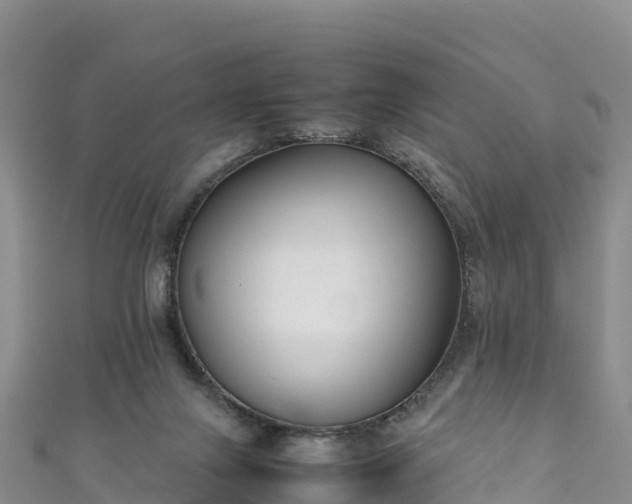 X0000111190071200907081304