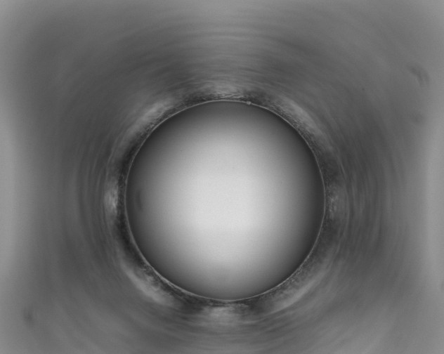 X0000111190072200907081304