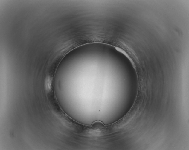 X0000111190075200907081304