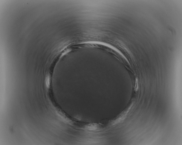 X0000111190076200907081304