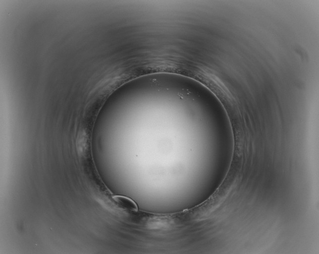 X0000111190077200907081304