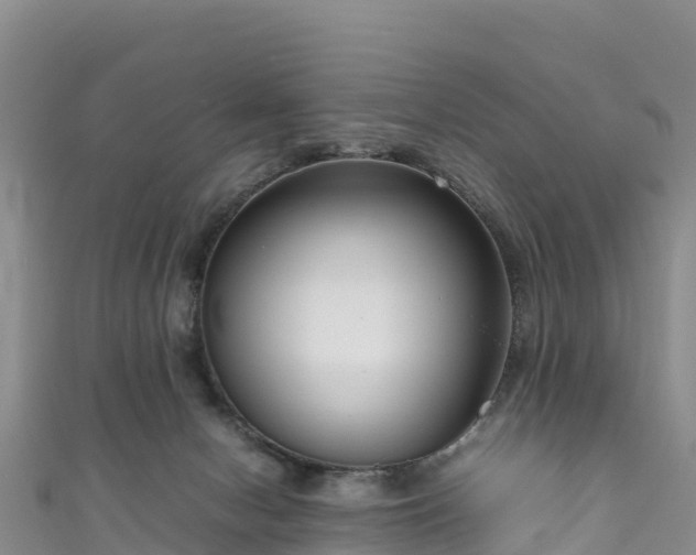 X0000111190078200907081304