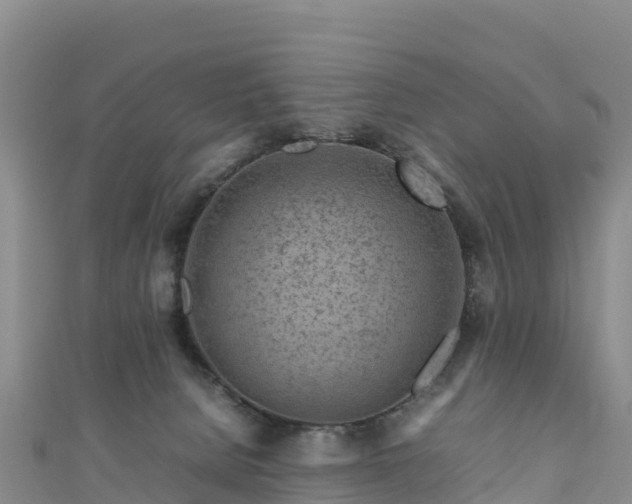 X0000111190080200907081305