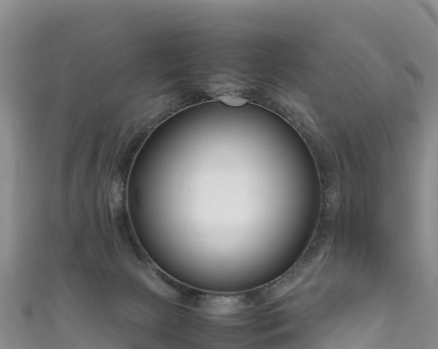 X0000111190081200907081305