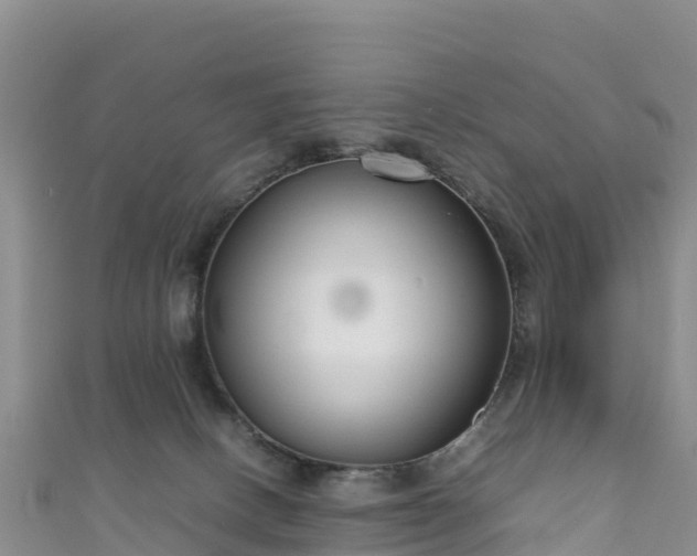 X0000111190082200907081305