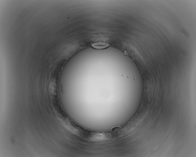 X0000111190083200907081305