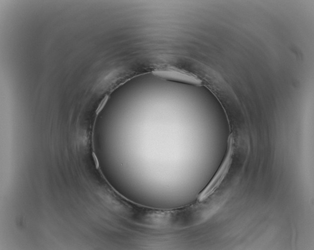 X0000111190084200907081305