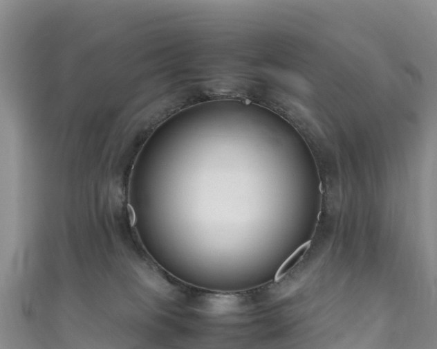 X0000111190085200907081305