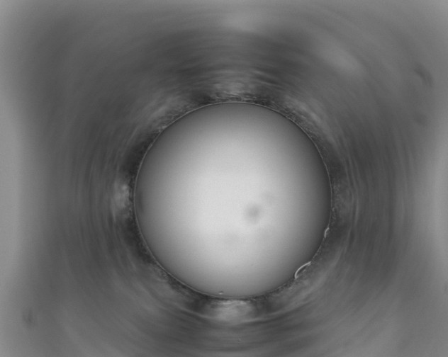 X0000111190087200907081305