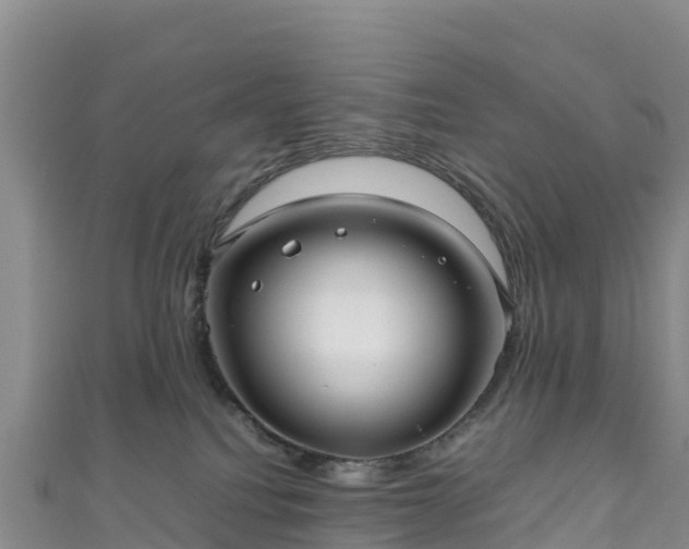 X0000111190088200907081305