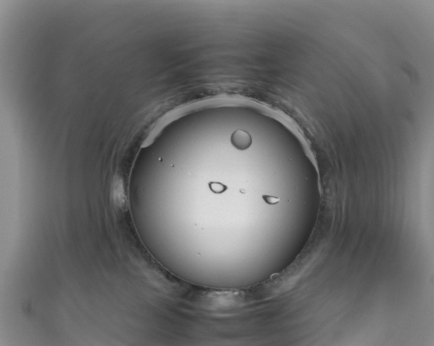 X0000111190089200907081305