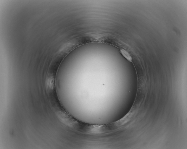 X0000111190090200907081305